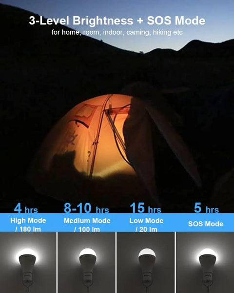 Usb Rechargeable Led Light Bulbs With Remote Control Four Lighting Modes And Timer Settings 1200mAh for camping