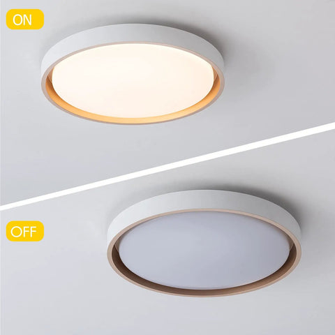 LED Flush Mount Ceiling Light 3000K Warm White, 2110 Lumens, 30W 16.5 Inch Round Modern Fixture ON and OFF view