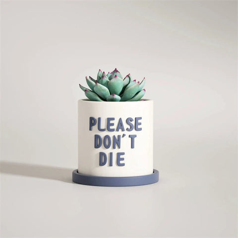 Round cement pot with "Please Don't Die" text, featuring a succulent, on a matching tray. Product focus: Platinum Silicone Concrete Planter Molds Round Cement Pot Molds With Tray For DIY Succulent Pots Easy Demold Non Toxic Food Grade Mould Set Durable Craft Tools For Home Garden Decor No Mess.