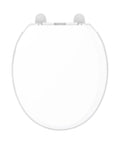 Round Bathroom Toilet Seat Built From Heavy Duty Plastic With Smooth Operator Soft Close Hinges And Nonslip Bumpers Delivering A No Slap Performance That Seals The Deal On Comfort And Style Daily - top view.