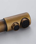 360-Degree Rotating Antique Bronze Kitchen Faucet Water Purifier 3-Way Dual Filter Tap close-up of dual-spout design.