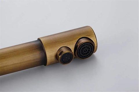 360-Degree Rotating Antique Bronze Kitchen Faucet Water Purifier 3-Way Dual Filter Tap close-up of dual-spout design.