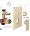 Dope Brushed Gold 10-Inch Rainfall Shower System with brass valve body and trim components shown separately