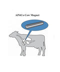 Real Deal Alnico 5 Cow Magnets Half Inch Size By Three Inches Long Five Piece Heavy Duty Cylinder Pack illustration of cow magnet placement.