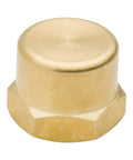Brass 3/4 in NPT female pipe cap with hex head for terminating 3/4 in NPT fittings