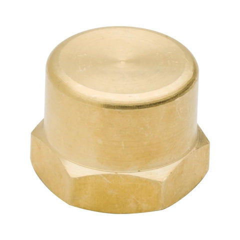 Brass 3/4 in NPT female pipe cap with hex head for terminating 3/4 in NPT fittings