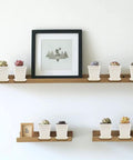 30 Pack 3 Inch White Square Nursery Pots with Drain Holes and Saucers on wall shelf for seed starting and seedlings