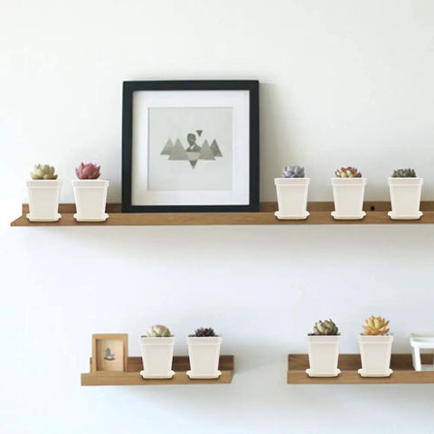 30 Pack 3 Inch White Square Nursery Pots with Drain Holes and Saucers on wall shelf for seed starting and seedlings