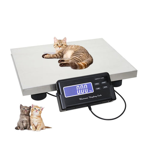 Built Like A Tank 660 Lb Heavy Duty Digital Livestock Scale With Roomy Stainless Platform and a cat resting on it.