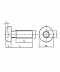 Technical drawing of Straight Up Top Shelf Fifty Pack Of Torx Drive Machine Screws Fasteners crafted for woodworking.