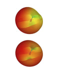 Osprey Flip G2 Dual Band RC FPV Antenna For 2.4GHz And 5.8GHz High Gain Linear MCX, signal pattern, gradient colors, 2 pack