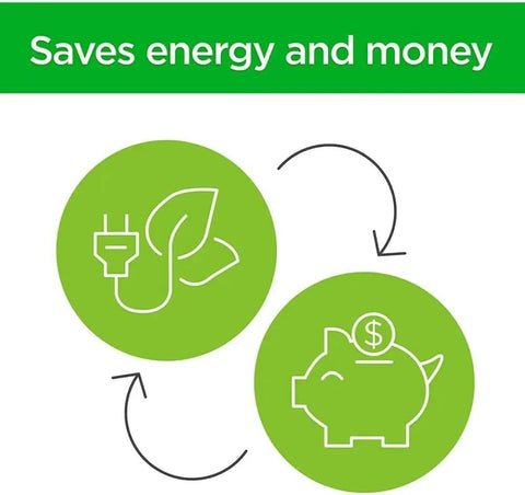 Illustration showing savings from energy efficiency with a plant and piggy bank, representing energy savings and financial benefit.