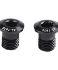 2 Pack M10xP10 Bolts for Bike Rear Derailleur Hanger, Aluminum Alloy Mounting Screws, Black 15mm Length, Replacement Hardware