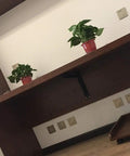 Heavy Duty Black Metal Shelf Brackets support wall-mounted shelf with plants, showcasing rust proof design and easy install.