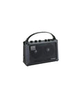 Portable black stereo amplifier with handle, Battery Powered Stereo Amplifier For Guitars And Keyboards Totally Portable Mini PA