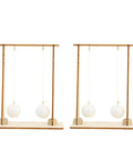 Two-Piece Physics Experiment Kit For Students, Engaging Science Tools For Classroom And Home Learning displayed with two pendulums