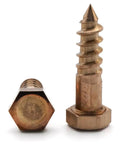 Beefed Up Heavy Duty Pro Grade Silicon Bronze Lag Screws One Quarter Inch By Two And A Half Inches Pack Of Twenty Five For Wood Framing And Machinery Anchoring In Heavy Duty Carpentry Outdoor And Marine Projects, showing screw front and side view.