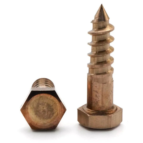 Silicon Bronze Lag Screws 5/16 Inch By 2 Inch, Set Of 25, showing front hex head and side threaded view