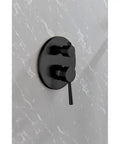 Shower System, 10" Rain Head, Handheld, Matte Black, Wall-Mounted valve controls mounted on marble wall.
