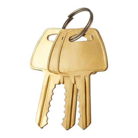 Brass keys on ring for Beefy High Security Heavy Duty Solid Steel Keyed Alike Padlocks Chrome Plated With 2.2 Inch Hardened Steel Shackle 2 Pack