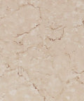 Close-up of beige linoleum look from 32 Pack Peel And Stick Vinyl Floor Tiles 12x12 Inches Waterproof Removable Flooring For Renters