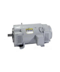 Built Tough 10 Hp 230 Vdc Industrial Motor showing robust design with 219 ATC frame for serious lifting tasks.