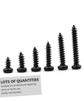 Multi Purpose Self Tapping Screws Set In A Handy Box Cross Head Carbon Steel Miniature Screws varied sizes for electronics and repairs