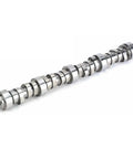 Stage Two Camshaft Kit With Heavy Duty Valve Springs And Steel Retainers Easy Bolt On Upgrade For Gm Ls1 Ls2 Ls3 Motors close-up of camshaft design