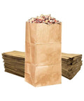 30 Gallon Brown Paper Yard Waste Bags, Heavy Duty 2 Ply Self Standing, Tear Resistant, Biodegradable and Compostable, Pack of 5