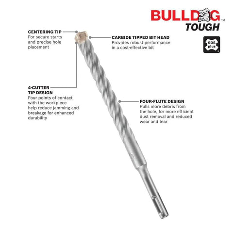 Bulldog Tough SDS-Plus rotary hammer bit, front view, 1/2 in. x 8 in., carbide-tipped with four-flute design