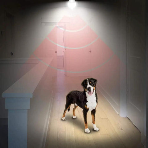 Motion Sensor LED Light Bulbs 2 Pack No Brainer Upgrade, 10W Equivalent 60W, 806 Lumens, Dusk To Dawn Auto On Off, Indoor Outdoor Lighting, 5000K Daylight, E26 Base, A19 Shape, UL Listed
