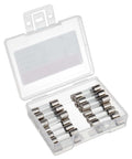 Open case showing Go-To 5x20mm Fast-Blow Glass Fuses, 2A, 250V, Pack of 20, arranged neatly, for electronics and DIY projects.
