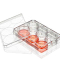 Go-To 6-Well Flat-Bottom Plate For Suspension Cell Cultures And Minimal Surface Interaction Non-Treated Sterile Individually Wrapped