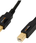 USB A To USB B 2.0 Cable A-Male To B-Male, 10 Foot, Shielded High Speed USB Cable With Gold Plated Connectors For Printers And External Hard Drives, Black, close-up