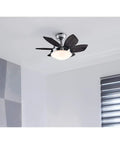 Quince 24 Inch Indoor LED Ceiling Fan With Light, Chrome Finish, Reversible Wengue Blades, Downrod Only for Small Rooms