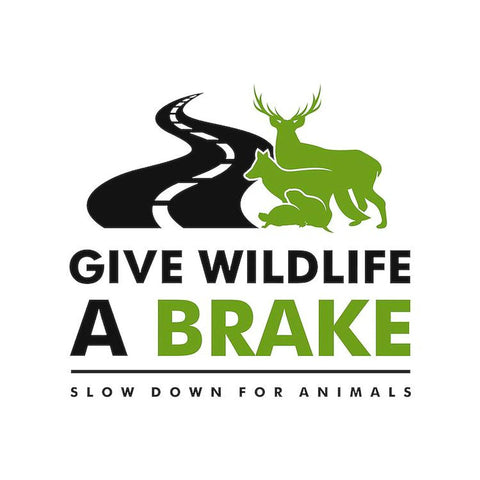 Front view of a 5.5-inch round car magnet featuring black road graphic and green deer with Give Wildlife A Brake text