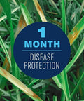 1 month disease protection text on lawn with fungus spots, Fungus Control For Lawns Ready To Spray 32 Oz Lawn Fungicide Protects Up To 5,000 Sq Ft From Diseases, No Fuss Easy Spray For All Grass Types, Prevents Common Lawn Diseases For A Full Month