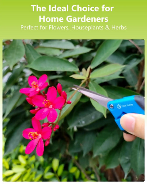 Two Pack 6.5 Inch Garden Scissors Pruning Shears For Small Plants being used on pink flowers