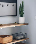 Legit White Shelf Brackets And T Shape Wall Mounts Solid Iron Floating Shelf Hardware supports a wooden shelf with a cactus.