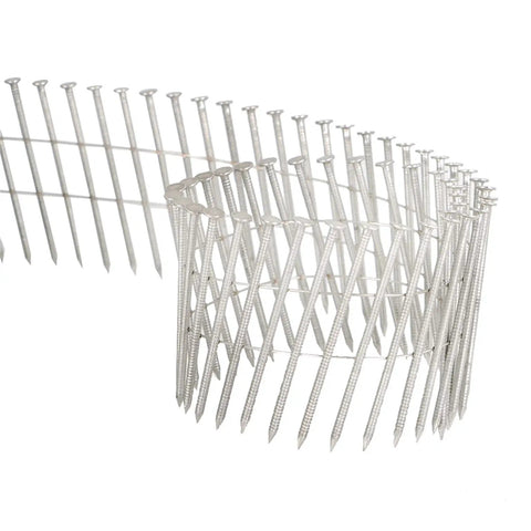 Close-up of stainless coil siding nails 2-1/2 inch 0.09 inch ring shank 15 degree small cap nails for cement board siding and fencing jobs