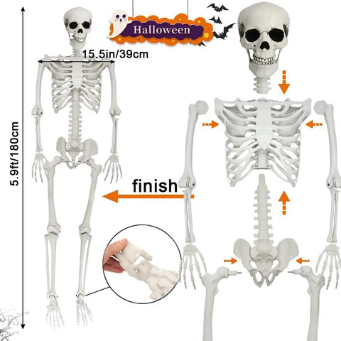 5.9-Foot Life-Size Poseable Skeleton For Halloween Decor showing full-body with movable joints and realistic bone structure