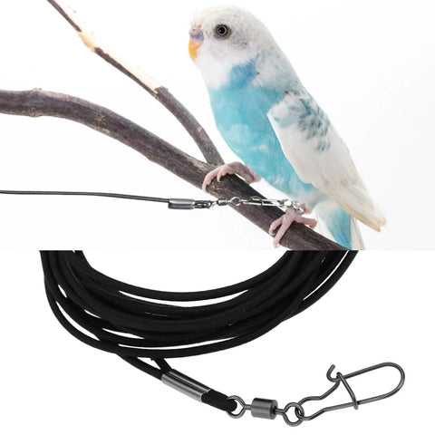 Ultra Lightweight Bird Flight Leash For Parrots Pigeons And Budgies Three Meter Training Rope with a budgie on a branch.
