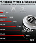 Gyro Ball Wrist Exerciser For Forearm Strength And Hand Therapy, Torque Ball Training Aid, Easy Start Spin Ball, Premium Black Gear For Rehab, Fitness And Grip Strength, silver wrist exerciser with resistance levels