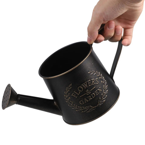 Heavy Duty Metal Watering Can With Big Capacity Galvanized Black Sprayer For Outdoor Garden Care Boss Grade Tool For Flowers And Lawn Easy Refill Spout Ergonomic Handle Indoor And Outdoor Plant Watering, black metal, side view