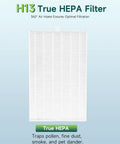 Large white H13 True HEPA filter for air purification, showcasing grid design for optimal filtration of pollen, dust, and dander.