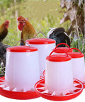 Heavy Duty Plastic Hanging Chicken Feeder For Coop No Nonsense Design Quick Assembly Automatic Poultry Feed Dispenser