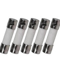 Five Pack 5x20mm Ceramic Fuses 10A 250V Silver Cartridge Fuses for Electronics Repair High Quality Replacement for Audio Gear DIY Projects Practical and Reliable Safety Fuse Kit, five ceramic fuses