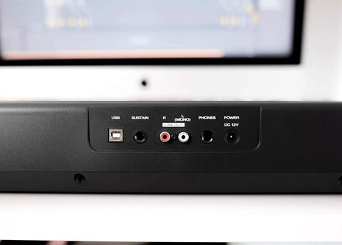 Back panel of Beast 88 Key Semi Weighted Digital Piano Keyboard with connectivity ports and power inputs, close-up view.