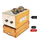 Home Coffee Bean Roaster 250 With Transparent Glass Chamber Noiseless Operation Large Capacity Rapid Cooling 110V Power