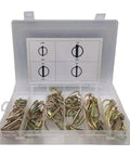 50 Piece Lynch Locking Pin Set M4.5 M6 M8 M11 Heavy Duty Spring Steel Annular Ring Clips in an organized case